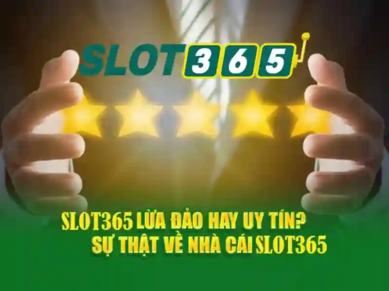 Chứng nhận bảo mật và giấy phép hoạt động của Slot365