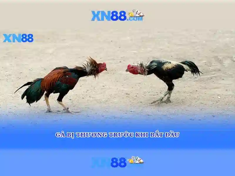 Hướng dẫn đăng ký\n<h5>Lưu ý và mẹo chơi</h5>\n<p><span style=