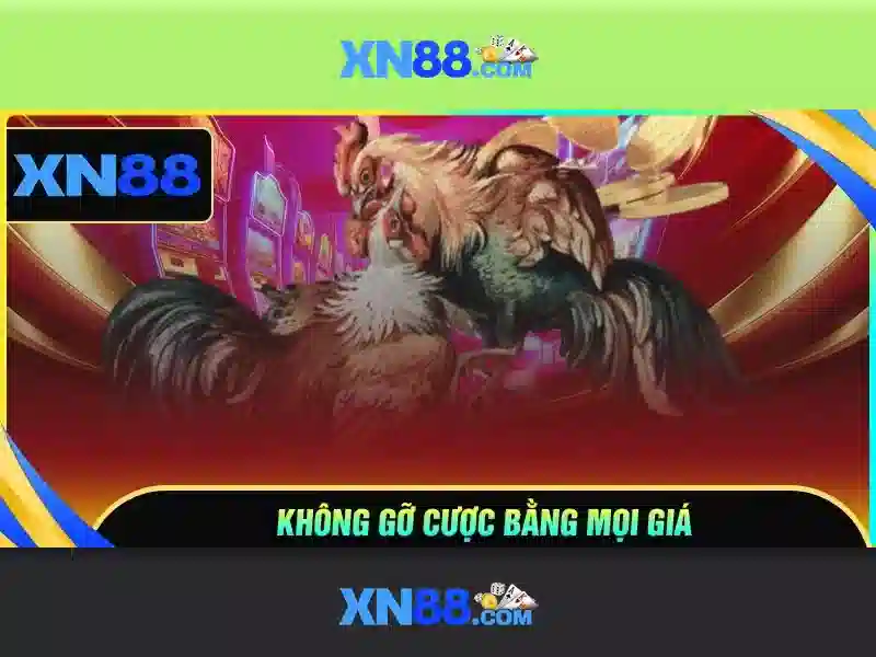 xn88 best: Đột phá thương hiệu và trải nghiệm số vượt trội