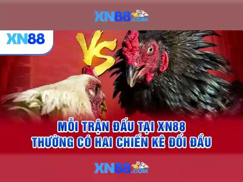 xn88: Nền tảng giải trí trực tuyến và cá cược an toàn