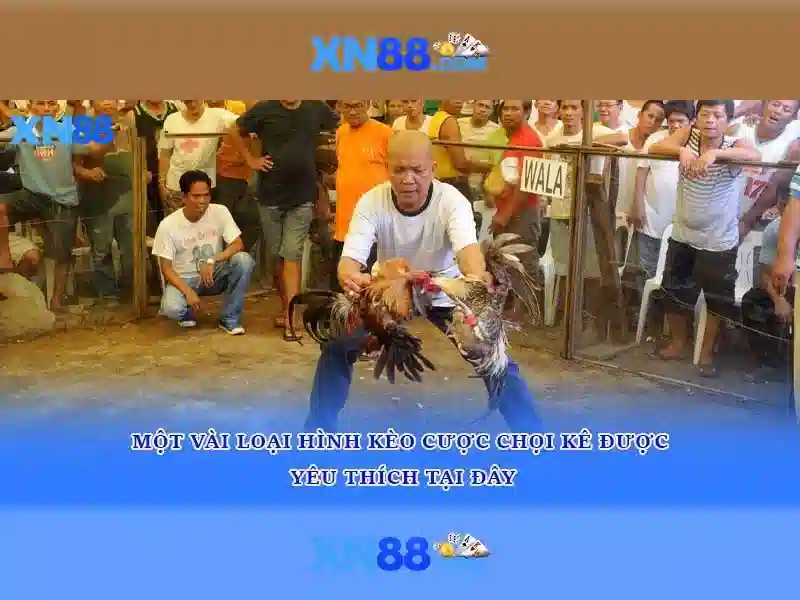 Nguồn gốc và sứ mệnh của xn88 tải</span></p>