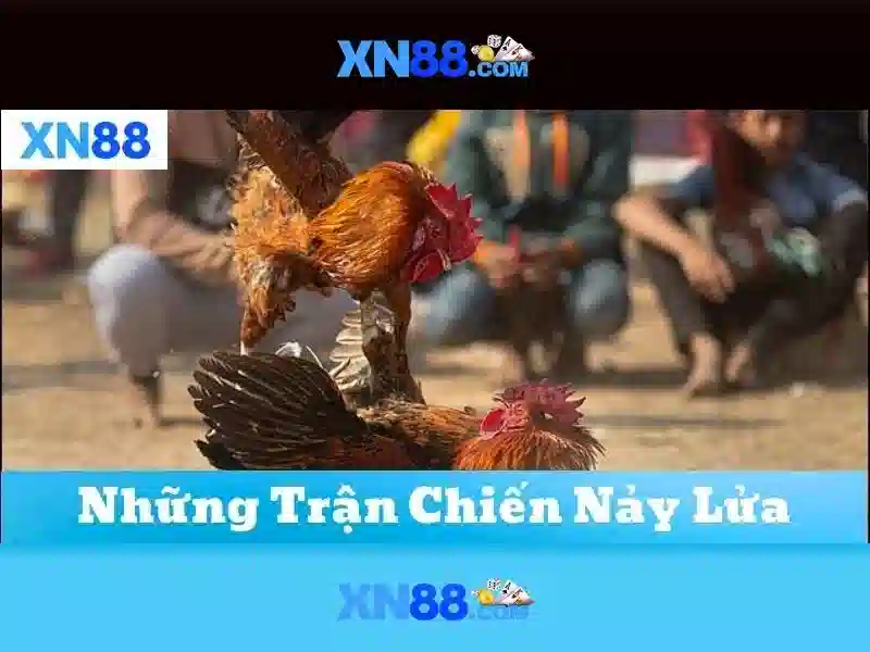 XN88: Nền tảng cá cược trực tuyến an toàn và tiện ích