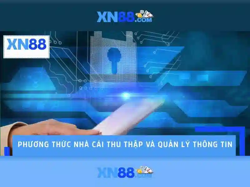 xn88 la gi va tai sao duoc quan tam\n<h2><b>Cung cap cac tinh nang cua xn88</b></h2>\n<p><span style=