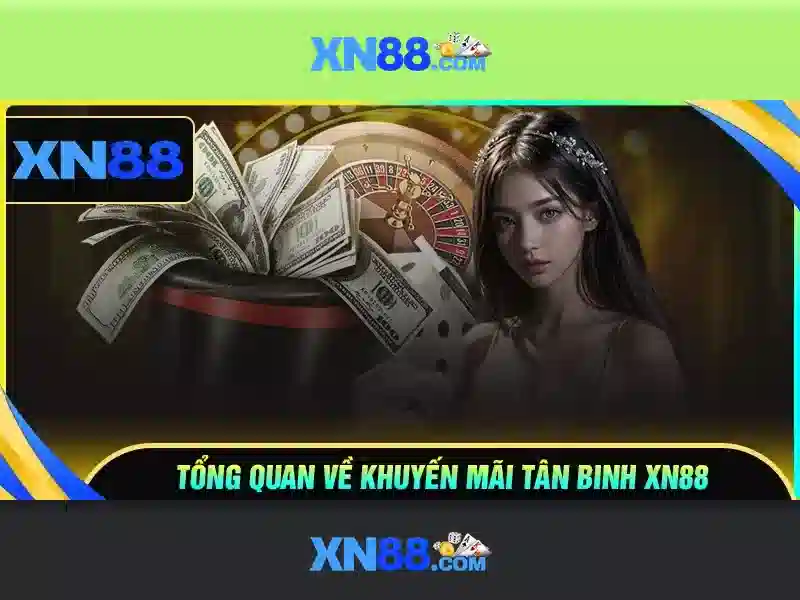 xn88: Giới thiệu về nền tảng và các sản phẩm