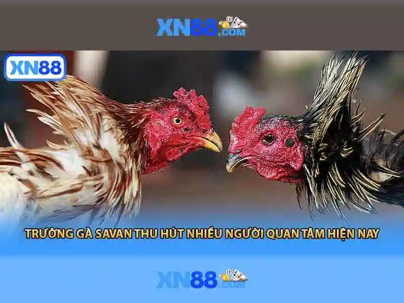 xn88 fit – Tổng quan và giá trị cốt lõi