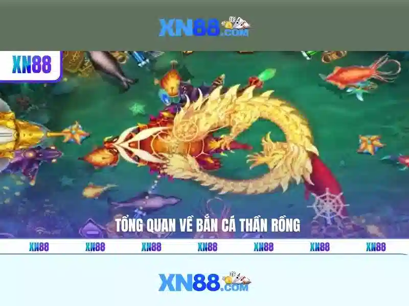 Giới thiệu về xn88
