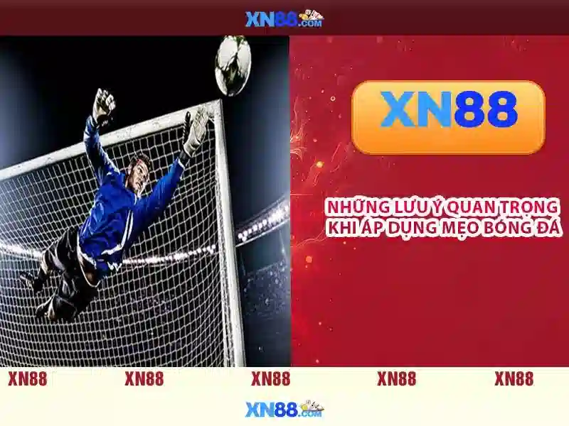 Giới thiệu về xn88