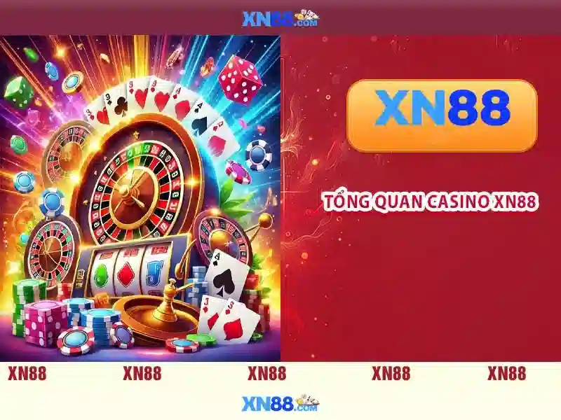 Điều gì làm xn88 nổi bật