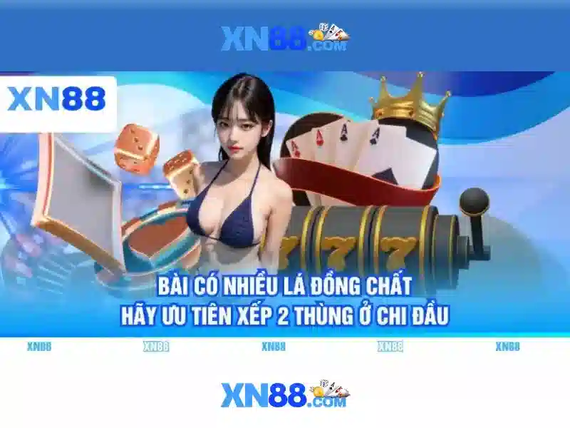 Trải nghiệm người dùng và phản hồi từ cộng đồng