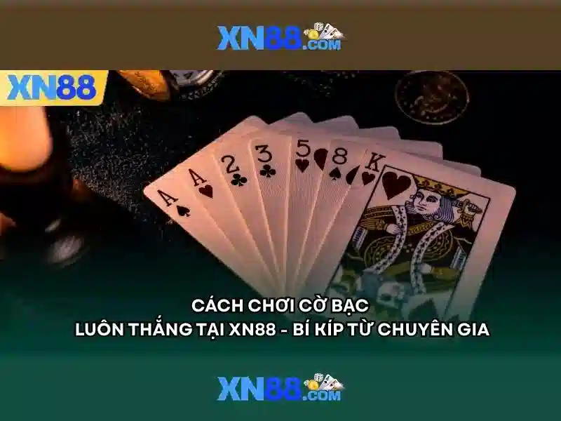 Các tính năng nổi bật