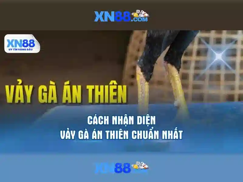 xn88 tải - Trải nghiệm tối ưu với xn88,com và xn88 nhà cái