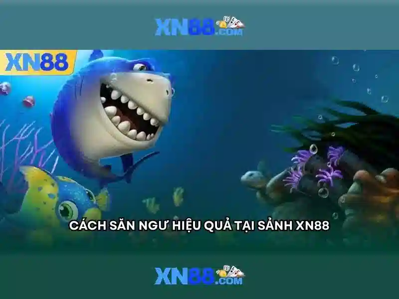 Sản phẩm và dịch vụ