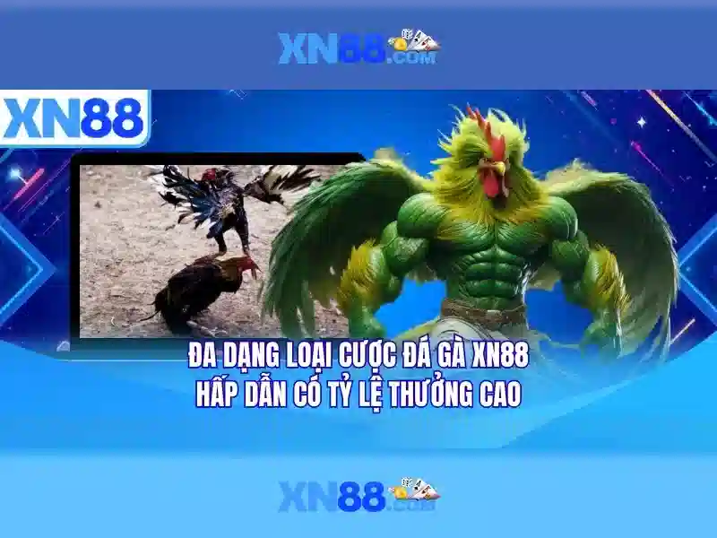 xn88: Tổng quan và Hướng dẫn cơ bản