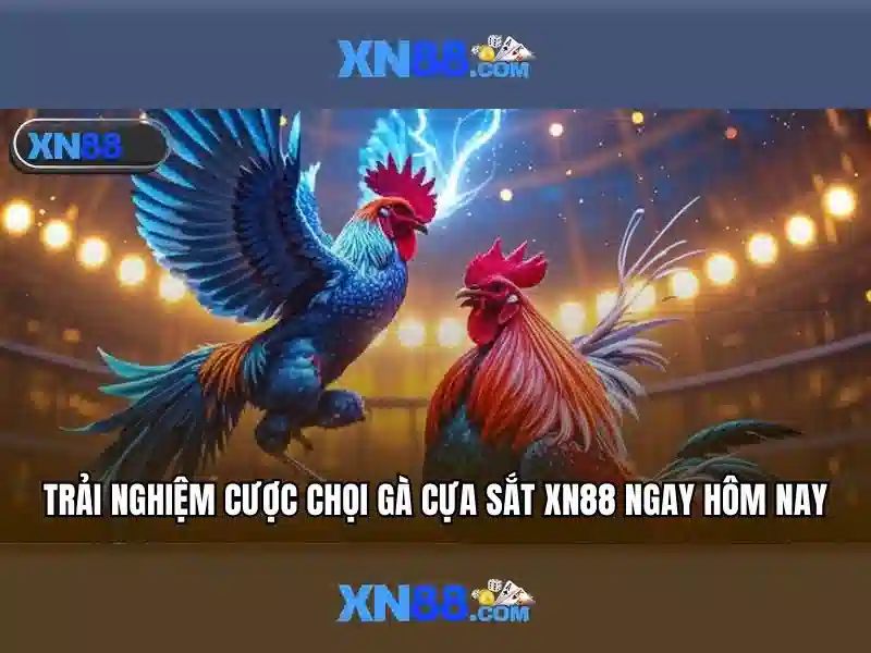 Trải nghiệm xn88-lin***.com