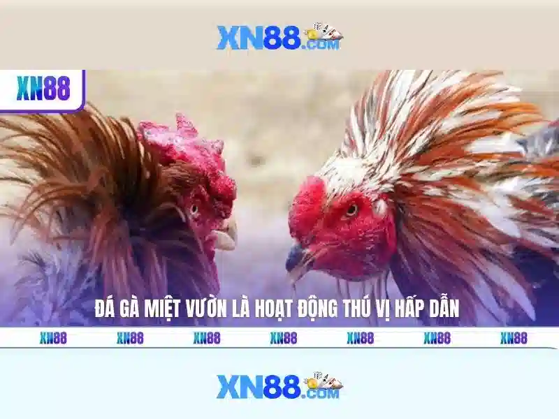 xn88-xn88 – Tổng quan chủ đề và Giá trị