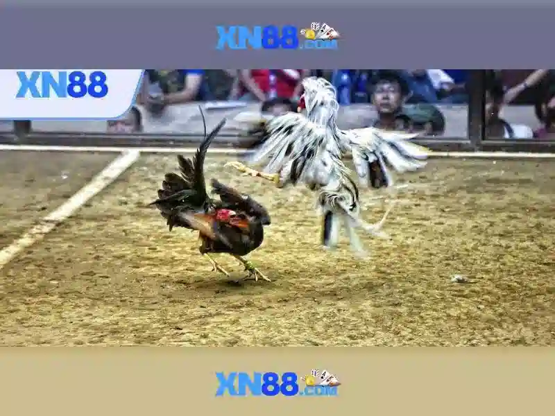 Endrick Rời Real Madrid – Câu Chuyện Phía Sau Quyết Định