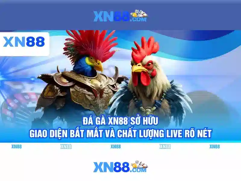 Hỗ trợ khách hàng và câu hỏi thường gặp