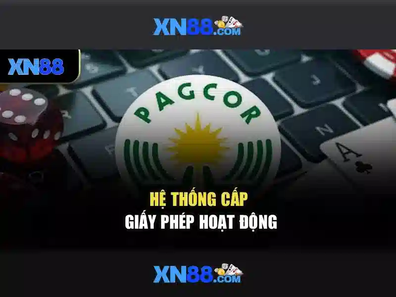 Lịch sử và nguồn gốc