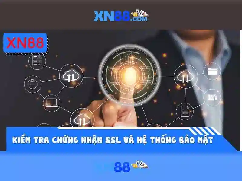 Phân tích rủi ro và sự đáng tin cậy