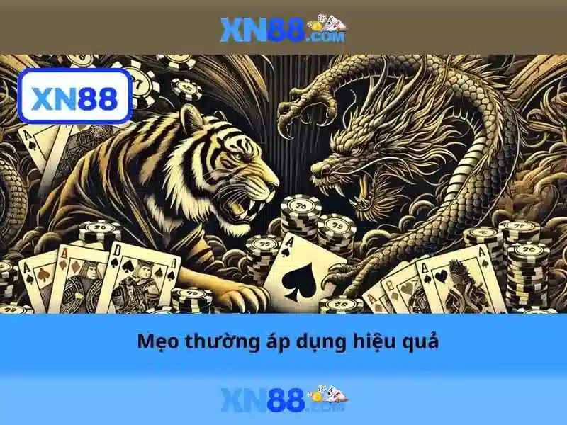 Nguồn gốc và phát triển của xn88