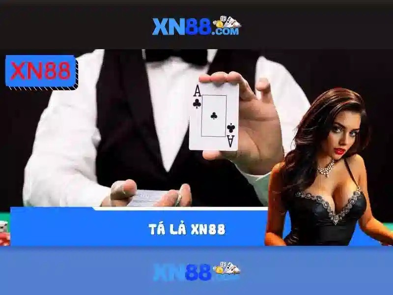 <!--IMG_PLACEHOLDER alt>Trải nghiệm người dùng và phản hồi cộng đồng-->