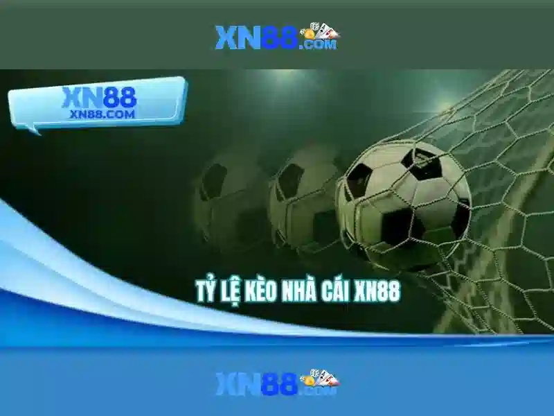 Hỗ trợ khách hàng và ưu đãi