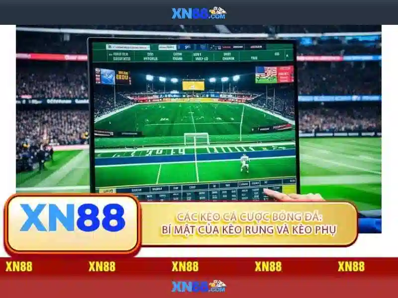 Giới thiệu về xn88