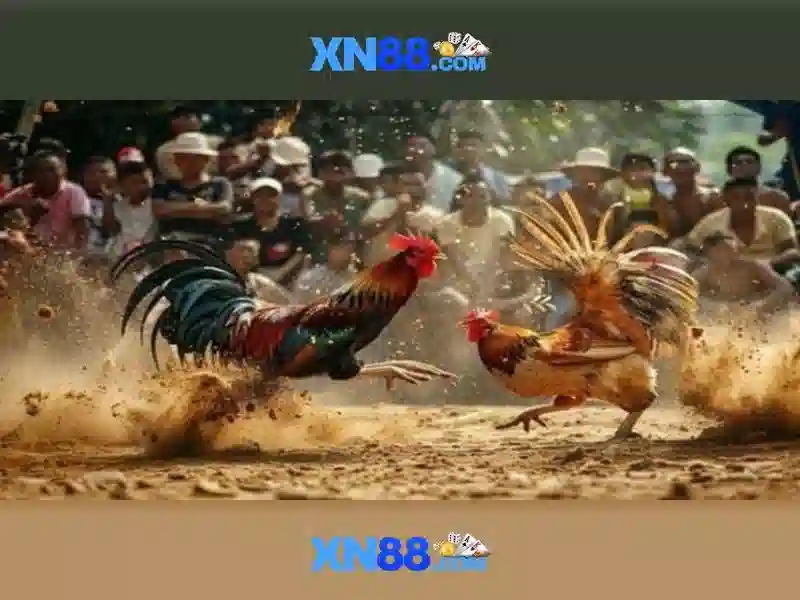 Cách tham gia và lưu ý an toàn
