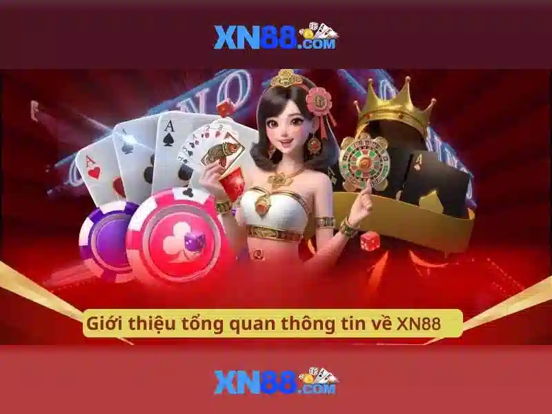 Dịch vụ và trải nghiệm người dùng