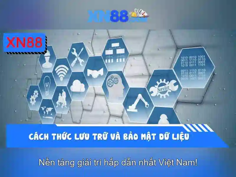 An toàn và trách nhiệm khi tham gia