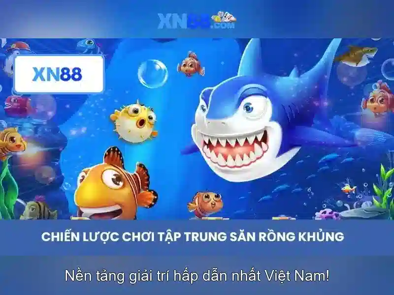 Kết luận