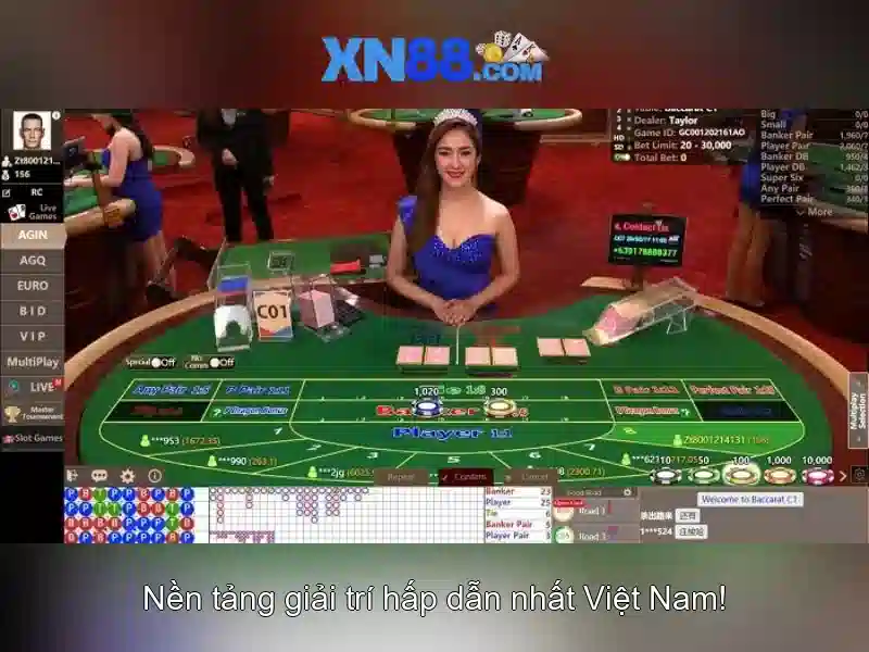 Trải nghiệm người dùng