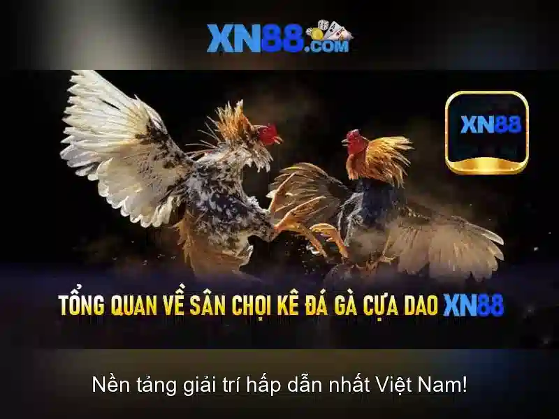 Lợi thế của xn88\n<h2><b>Lợi thế của xn88</b></h2>\n<p><span style=