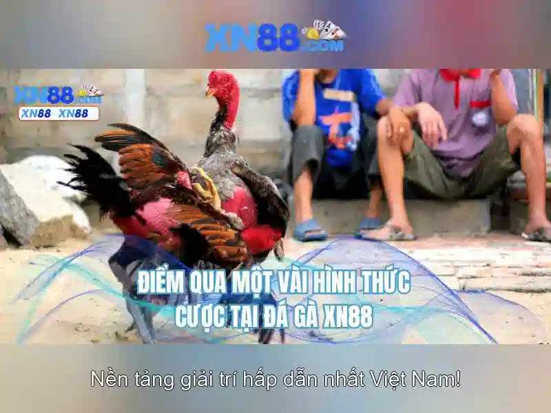 xn88: Một nền tảng giải trí trực tuyến đột phá