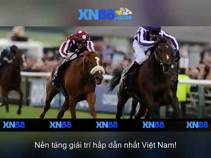 Tính năng chính