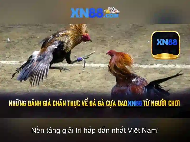 Nhung dac diem noi bat cua XN88