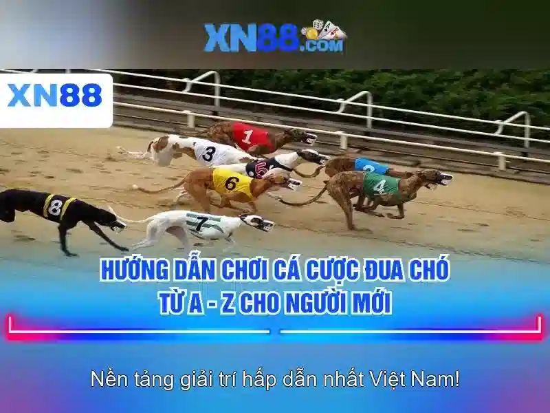 Xn88: Nền tảng giải trí trực tuyến an toàn và đáng tin cậy