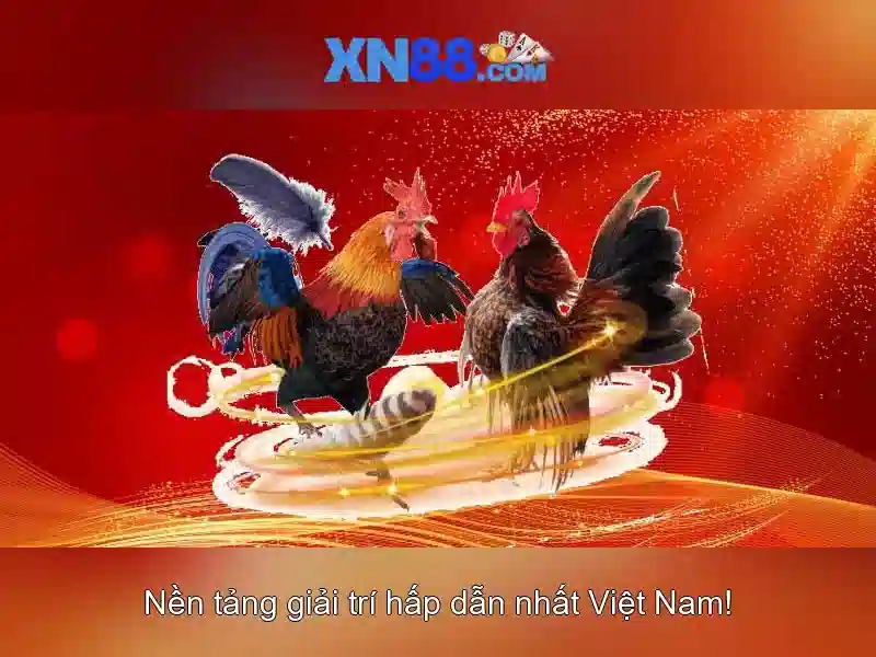 Xn88: Khám phá nền tảng cá cược và giải trí trực tuyến