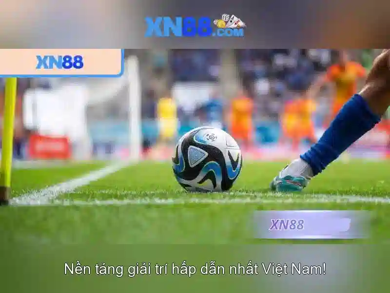 Nền tảng và các dịch vụ