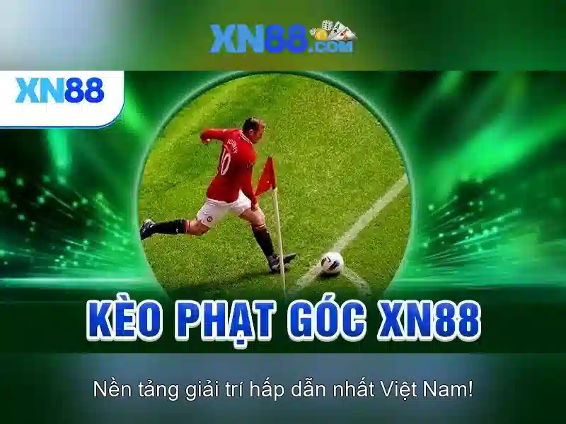 Hướng dẫn tham gia\n<h2><b>Kết luận</b></h2>\n<p><span style=
