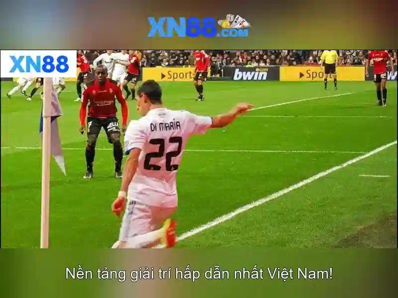 Tham gia và nhận xét