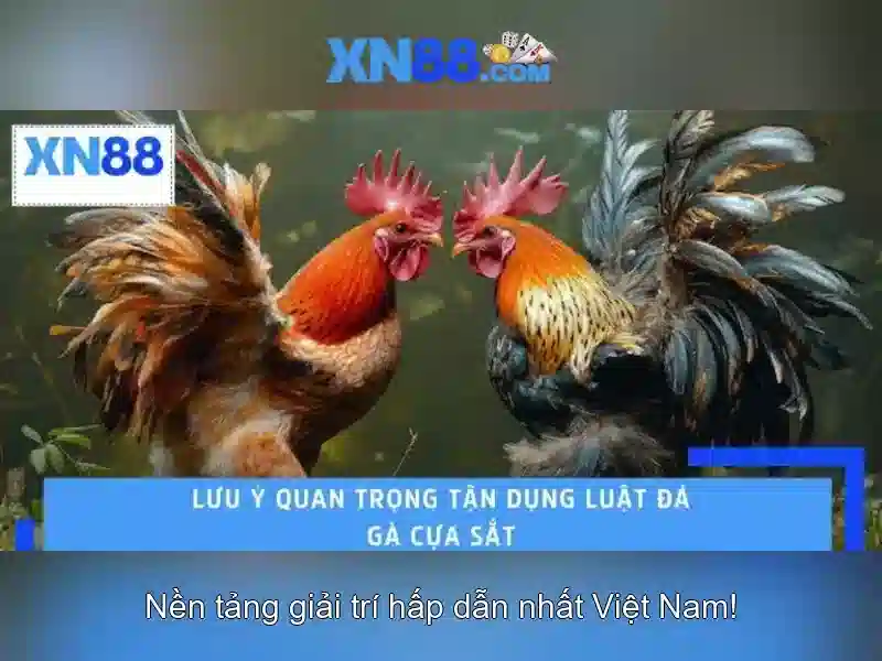 Lịch sử và nguồn gốc