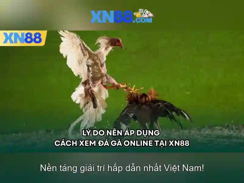 Tính năng nổi bật