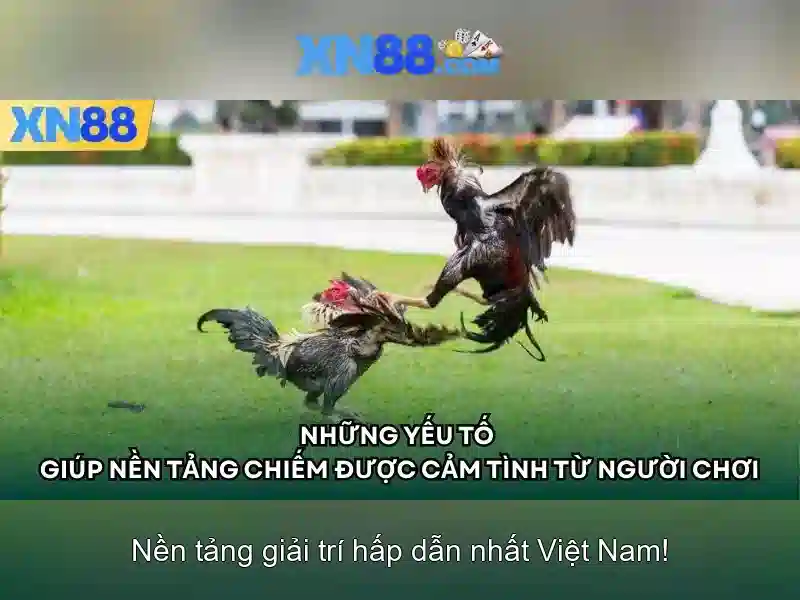 Endrick Rời Real Madrid – Câu Chuyện Phía Sau Quyết Định