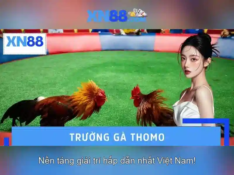 xn88: Giới thiệu về nền tảng chơi game và cá cược trực tuyến