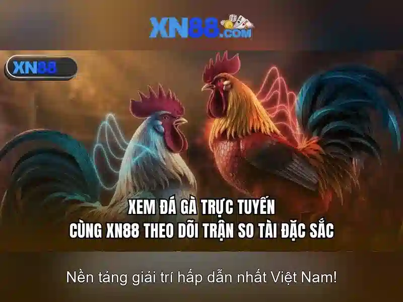 Cam kết chất lượng và hỗ trợ khách hàng