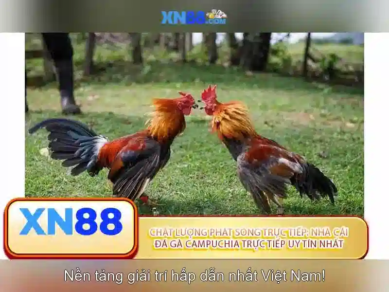 Các trò chơi nổi bật tại xn88