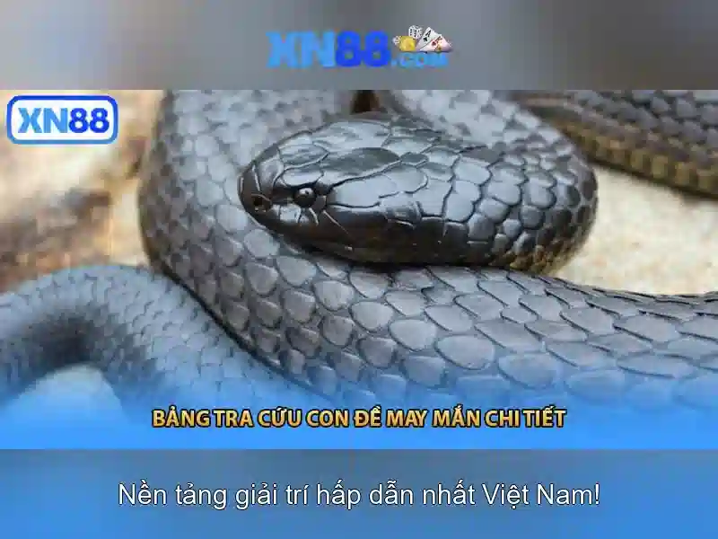 xn88: Tổng quan về nền tảng và các khía cạnh liên quan