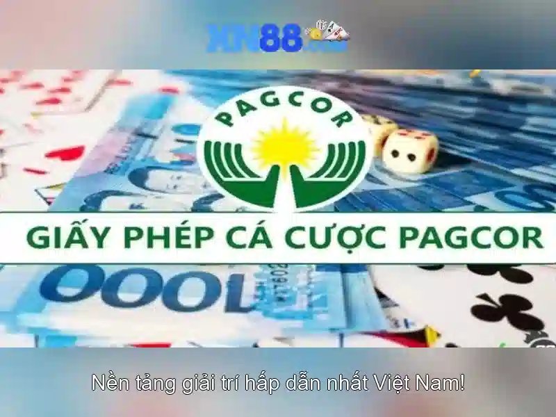 xn88 là gì? Khám phá nền tảng và cơ hội