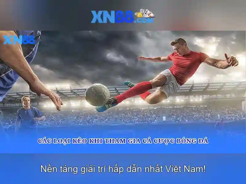 An toàn và trách nhiệm người chơi